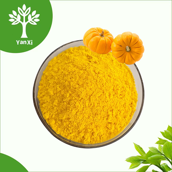 Pumpkin Powder Pumpkin Powder